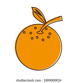 Delicious orange fruit