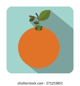 Delicious orange fruit