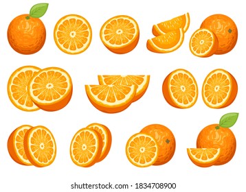 Delicious orange fruit vector design illustration isolated on white background