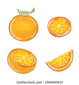 Delicious orange fruit vector. Delicious orange fruit vector Organic fruit. Cartoon style. Vector illustration for any design.