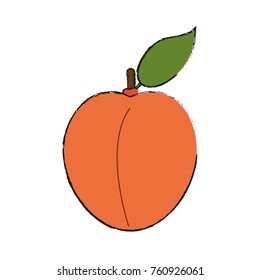 Delicious peach fruit