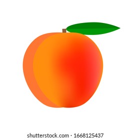 Delicious peach fruit icon. Vector illustration