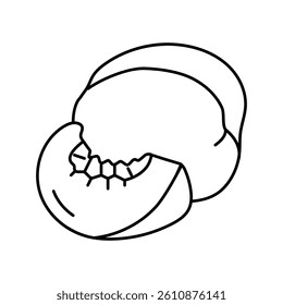 delicious peach slice whole line icon vector. delicious peach slice whole sign. isolated contour symbol black illustration