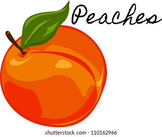 Delicious Peach - vector illustration