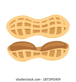 delicious peanut perfect for sauce and jam flavor vector illustration design