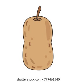 Delicious pear fruit