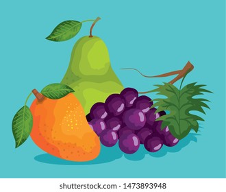 delicious pear with mango and grapes fruits