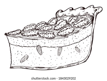 Delicious pecan pie slice, covered with this nuts in hand drawn style, isolated over white background.