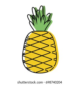 delicious pineapple fruit with protein nutrition