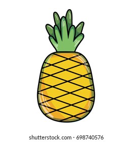 delicious pineapple fruit with protein nutrition