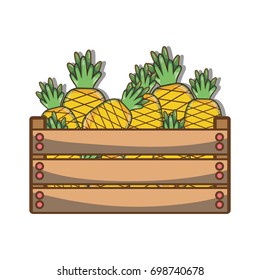 delicious pineapple fruits inside basket