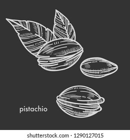 Delicious pistachio in shell with couple of leaves. Tasty nuts with healthy fats and big amount of calories. Natural organic pistachios isolated cartoon flat monochrome vector illustration with sign.