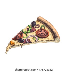 Delicious pizza slice with tomatoes, pepper, olives, and bacon pieces. Vector color hand drawn traditional italian  food isolated on white. Vintage  illustration in engraved style