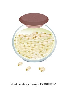 Delicious Preserved  Pistachio Nuts in A Glass Jar, Good Source of Dietary Fiber, Vitamins and Minerals.  