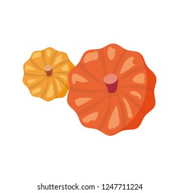 delicious pumpkins on white background