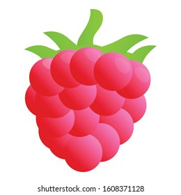 Delicious raspberry icon. Cartoon of delicious raspberry vector icon for web design isolated on white background