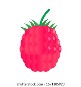 Delicioso icono de frambuesa. Ilustración del vector