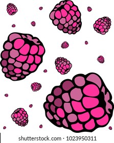 Delicious raspberry set isolated. Colorful design of card, banner, invitation, wrapping for Valentine`s Day, theme party, fruit shop, restaurant, coffee house