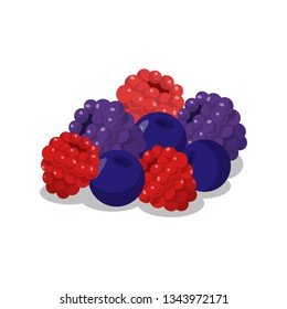 Delicious Ripe Berries Cartoon Vector Illustration. Sweet Berry Dessert Flat Drawing. Vitamin Diet. Raspberries, Blueberries and Blackberries. Healthy Nutrition Isolated Design element