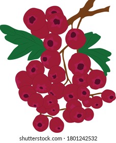 Bayas maduras deliciosas, vector lingonberry rojo