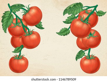 Delicious ripe tomatoes in engraving style on beige background