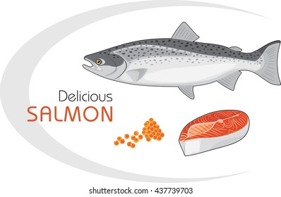 Delicious salmon. Vector