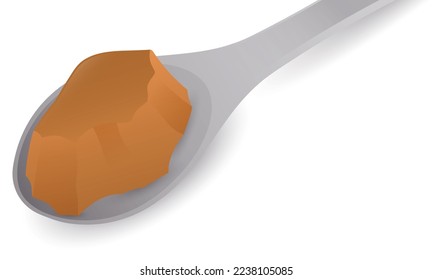 Delicious sample of custard -or natilla in Spanish- served in a metallic spoon. Design isolated over white background.