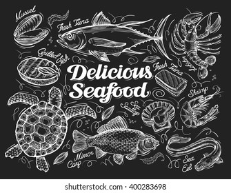 Delicious seafood. Hand drawn sketch of a fish, tuna, lobster, shrimp, scallop, eel, carp, turtle, mussel, conch. Vector illustration