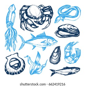 Delicious Seafood - illustration of color vector hand drawn vintage composition. Realistic alga, seaweed, squid, crab, shrimp, mussel, giant scallop, oyster, tuna, grog, eel, sprat, fish.