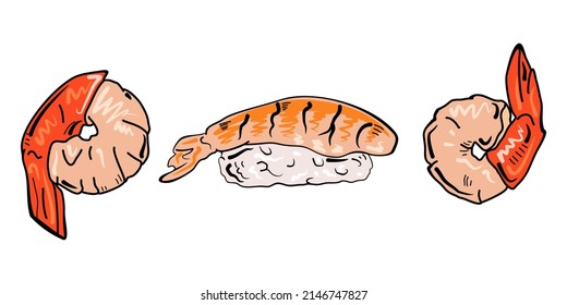 Delicious shrimp on isolated on white background. Set of shrimp, shrimp without shell, meat, sushi, nigiri. Design, menu development, advertising, packaging of shrimp products.