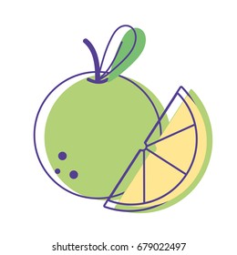 delicious slice apple fruit with vitamins and protein