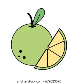 delicious slice apple fruit with vitamins and protein