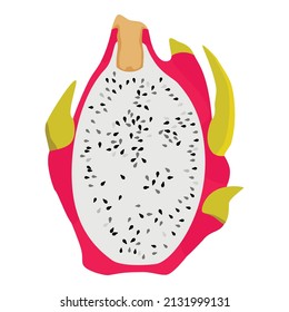 Delicious slice cut pitahaya dragon fruit isolated on white background. Vector