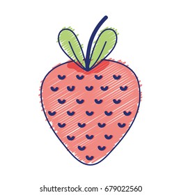 delicious strawberry fruit with vitamins and protein