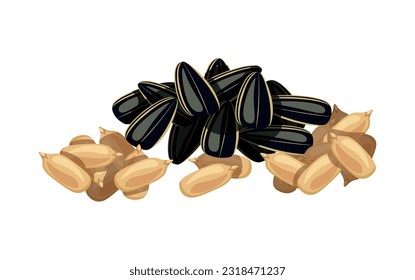 Delicious sunflower seeds isolated on white background. Vector illustration of a tasty handful of peeled and shelled sunflower seeds in cartoon style. Sunflower seed icon. Healthy, organic snacks.