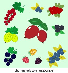 Delicious and sweet berries, collected in the composition. Illustration of different kinds of berries.
