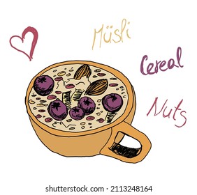 Delicious sweet breakfast vector colored drawing vector oat flakes muesli with blueberries, almonds, coconut, seeds, cereals and cranberries, hand drawn doodle in casual style