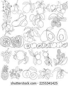 Delicious and sweet fruits and berries with transparent background and EPS format