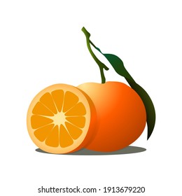Delicious Sweet Orange Illustration Vector