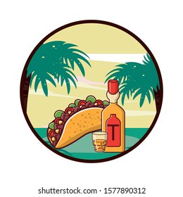 delicious taco mexican food with tequila bottle vector illustration design