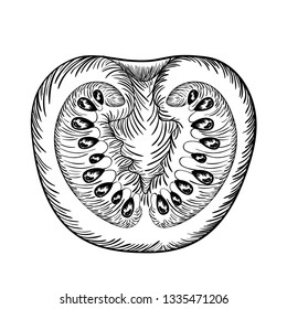 delicious tomato in drawing isolated icon