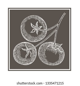 delicious tomato in drawing isolated icon