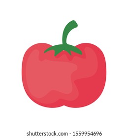 delicious tomato on white background vector illustration design
