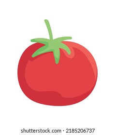 delicious tomato vegetable icon isolated