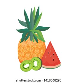 delicious tropical fruit with pineapple, watermelon and kiwi icon cartoon vector illustration graphic design