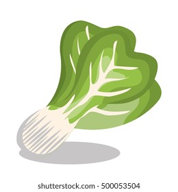 delicious vegetable letuce isolated icon