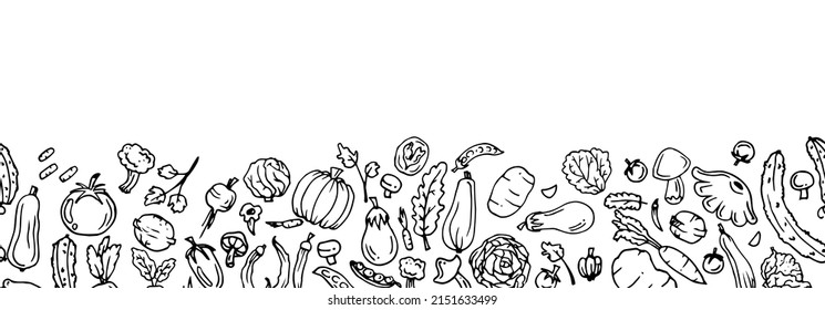 Delicious vegetables Garden fruits. Edible food plants. Continuous seamless picture. Bottom border at edge. Hand drawn outline. Monochrome drawing. Isolated on white background. Vector