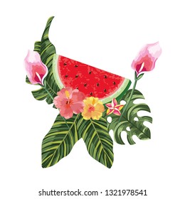 delicious watermelon cartoon