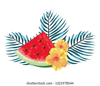 delicious watermelon cartoon