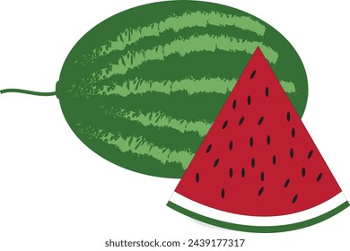 delicious watermelon design and illustration